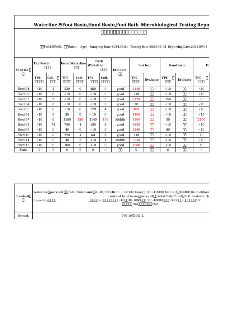 (BF#3) Microbe Test Report. (2024.09.01) | PDF