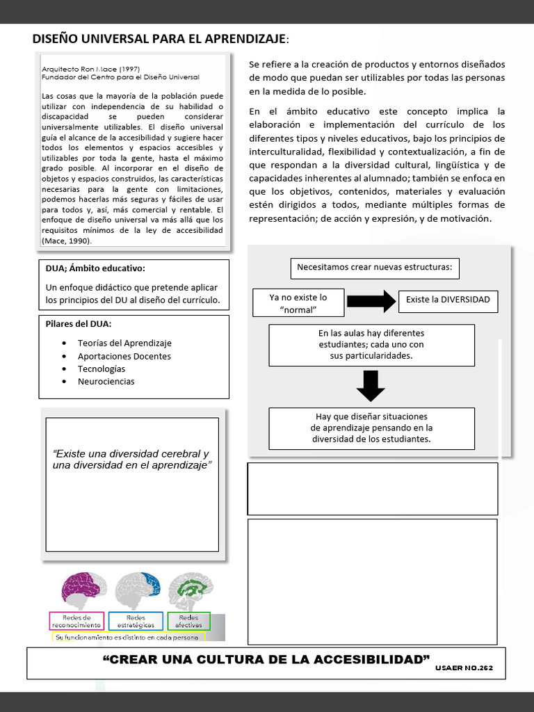 Pilares del Diseño Universal para el Aprendizaje | PDF | Plan de ...