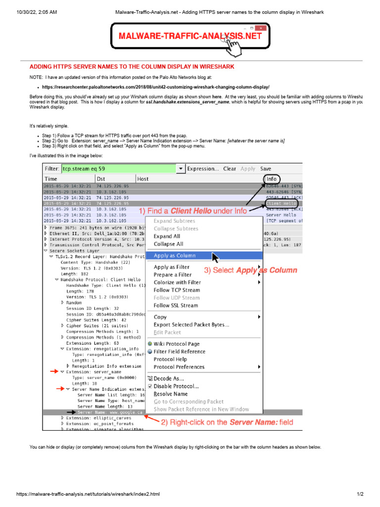 Adding https server names to the column display in wireshark pdf