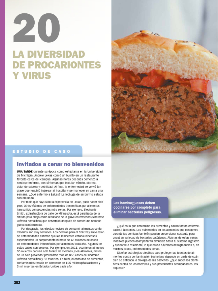 20 La Diversidad de Procariontes y Virus | PDF | Las bacterias | Archaea