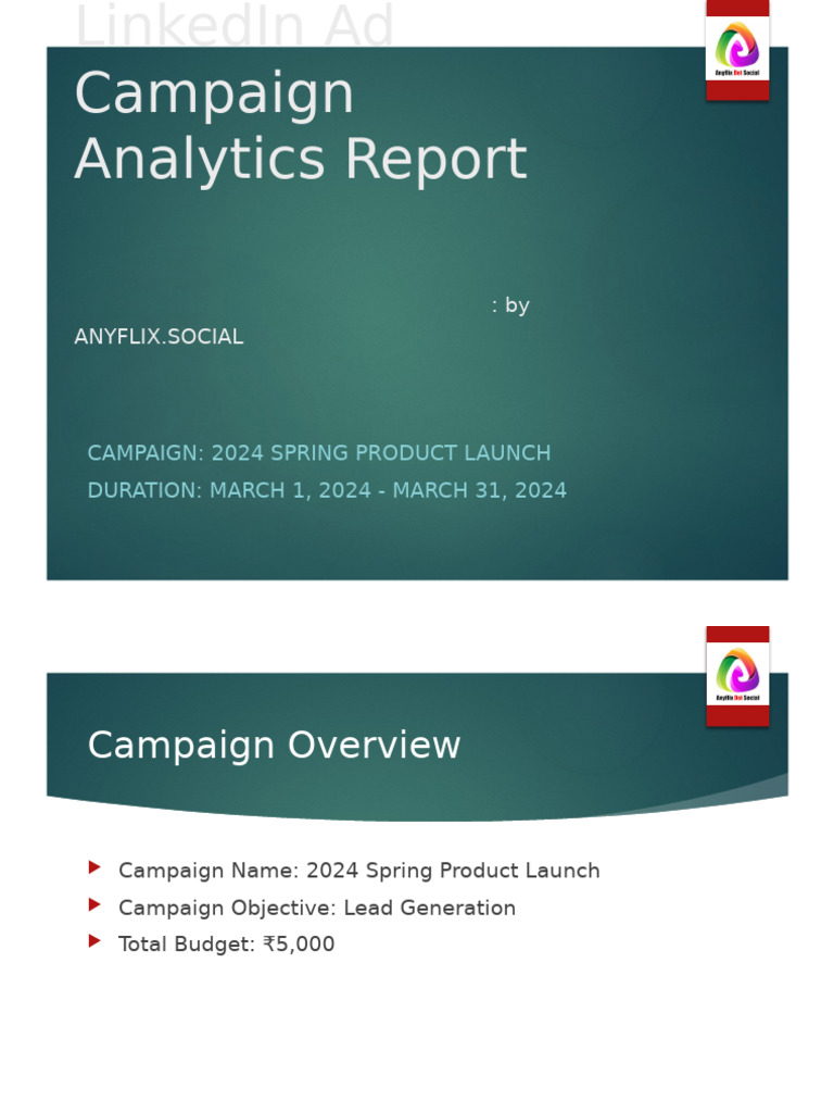 LinkedIn Ad Campaign Analytics 2024 | PDF | Analytics | Business