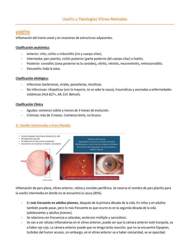 Uveítis: Clasificación y Complicaciones | PDF | Ojo humano | Oftalmología
