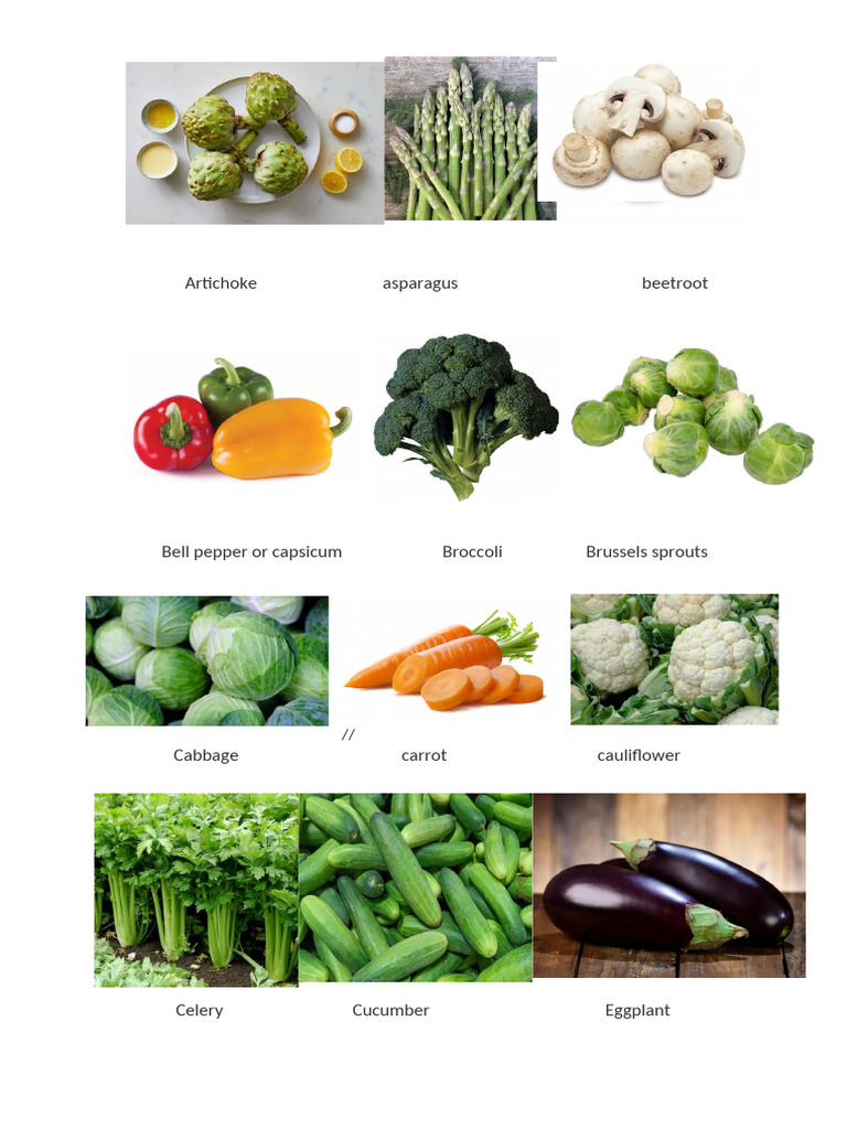 A to Z List of Vegetables | PDF