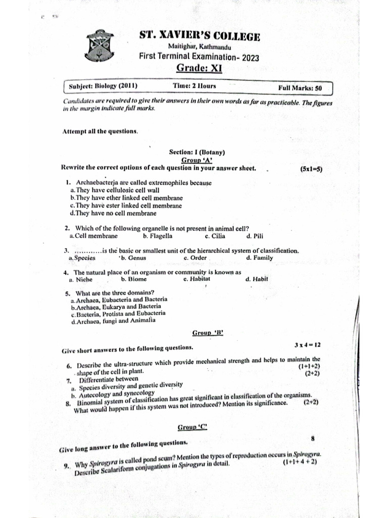 First Terminal Exam Questions 2023 | PDF