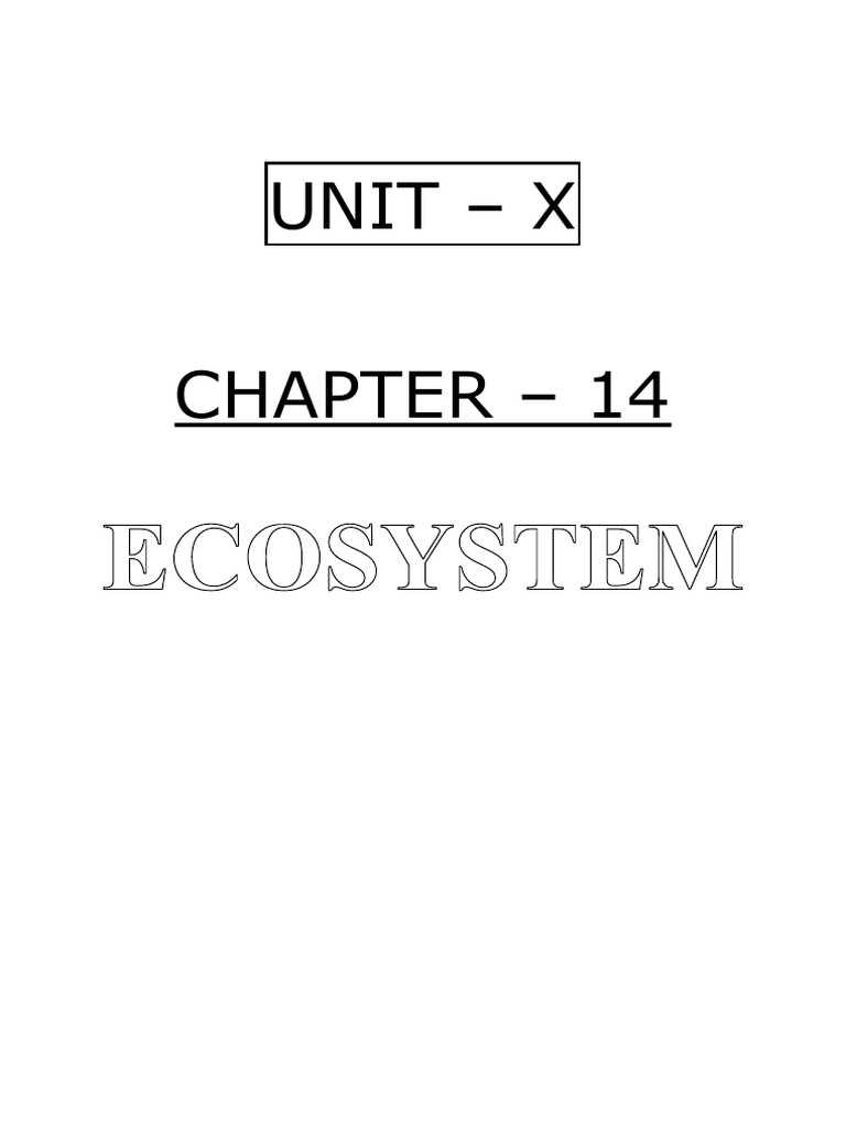 ecosystem-pdf-food-web-primary-production