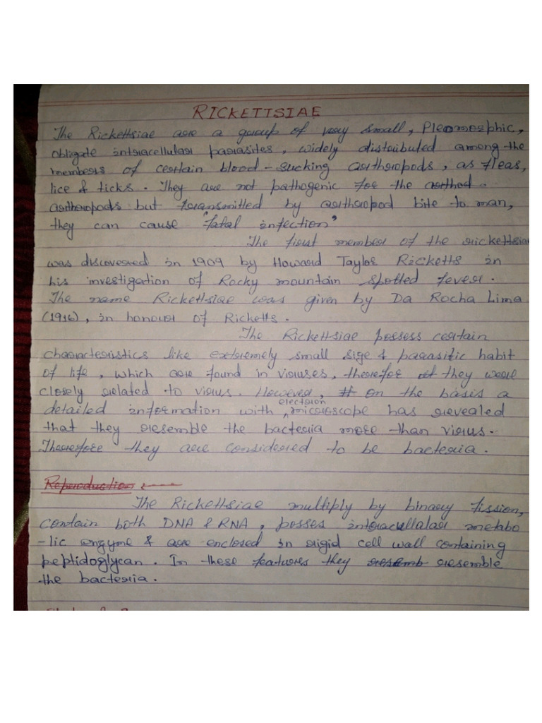 Rickettsiae | PDF