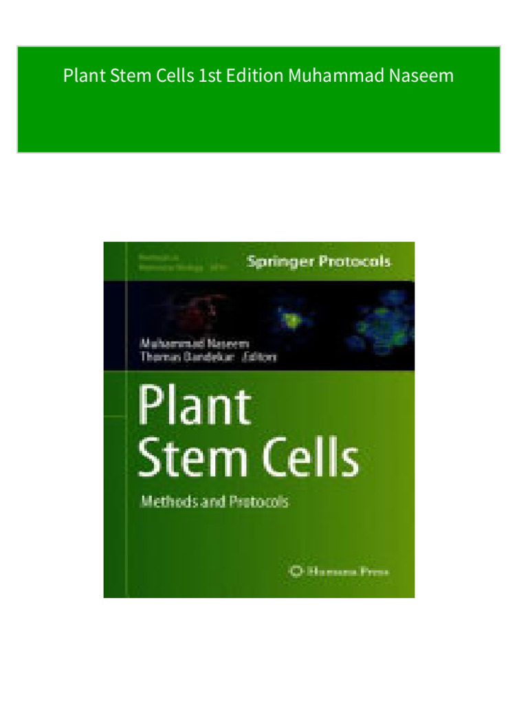 Plant Stem Cells 1st Edition Muhammad Naseem 2024 scribd download PDF