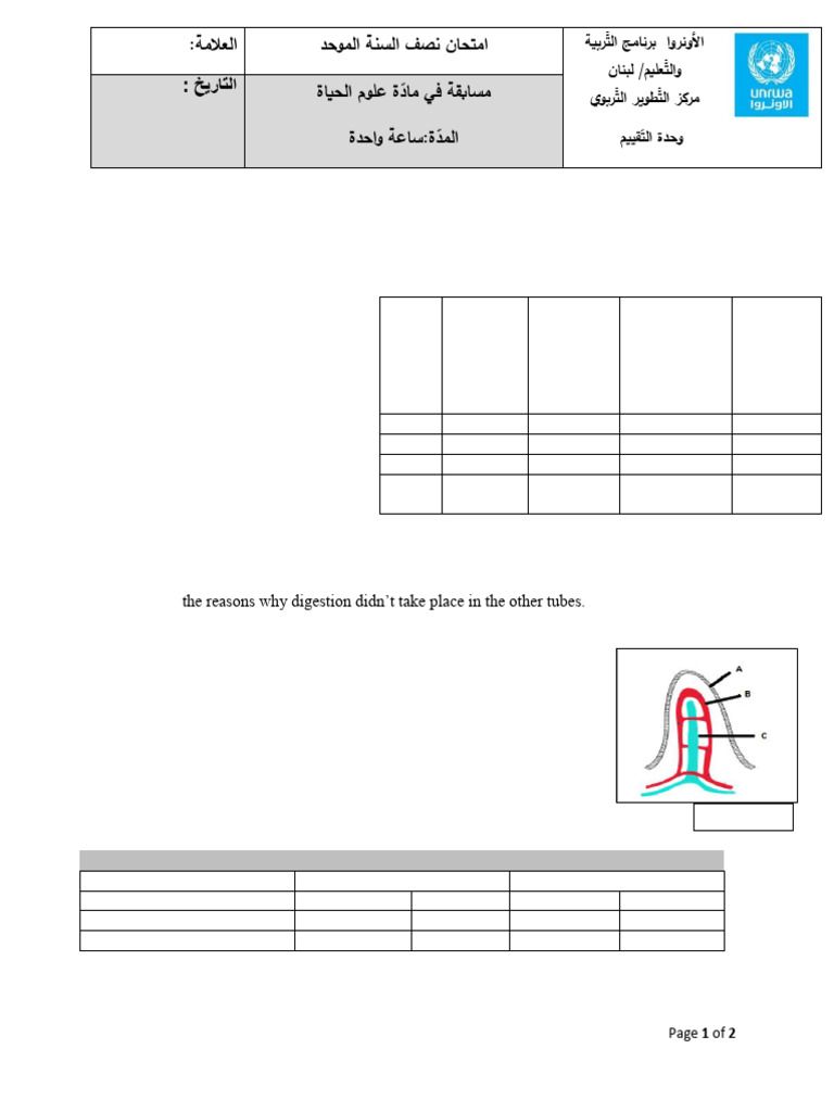 Life Science Gr9 Unified Mid-Year Test 2023 | PDF | Hemoglobin | Blood