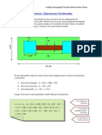 Polinomio S