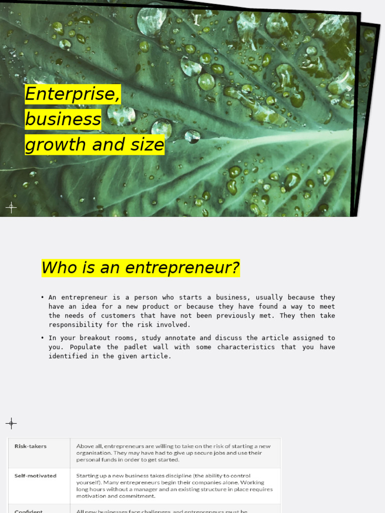 1.3 Enterprise, Business Growth and Size | PDF | Mergers And ...