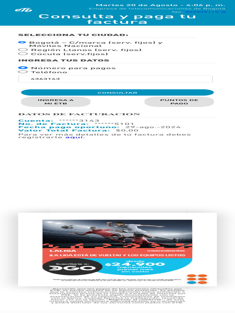 DESCARG Y PAG TU FACTURA ONLINE visual data 5