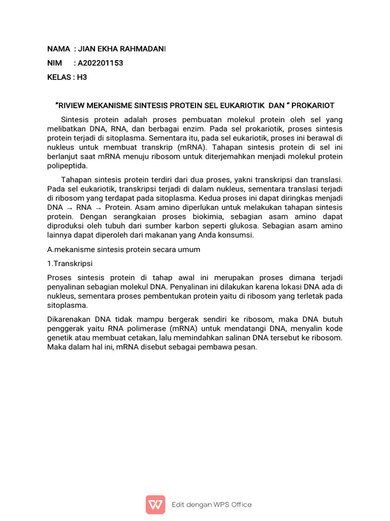 Sintesis Protein: Eukariotik vs Prokariotik | PDF | Sains & Matematika