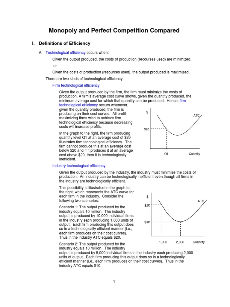 Efficiency in Monopoly vs. Perfect Competition | PDF