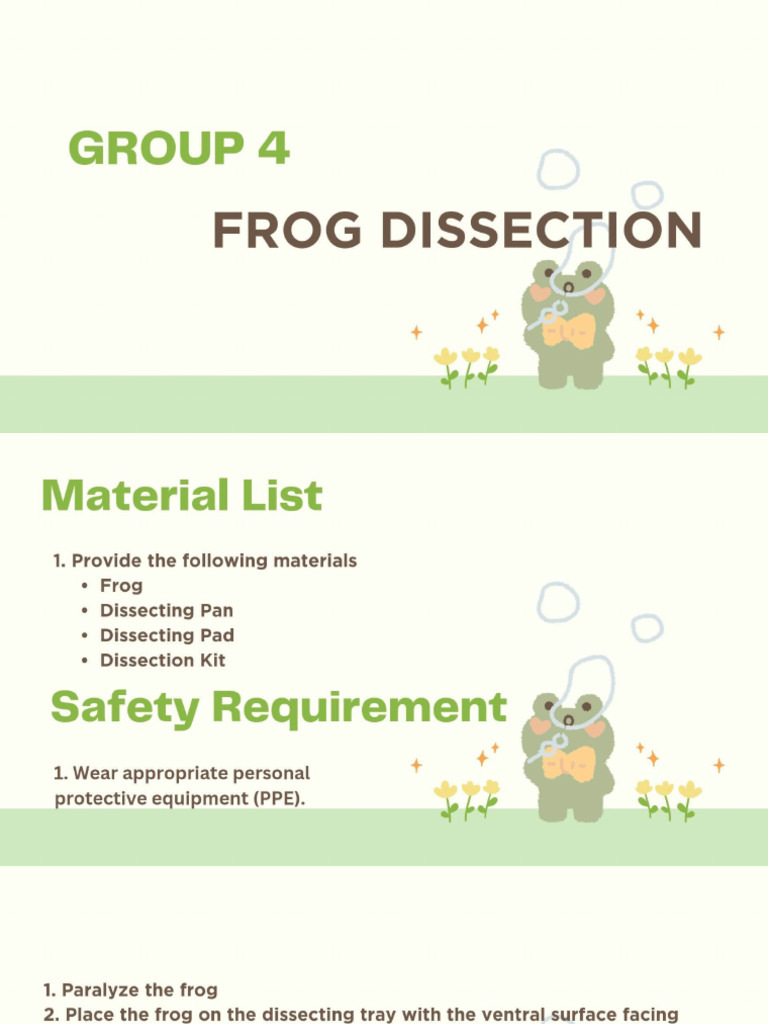 Frog Dissection | PDF
