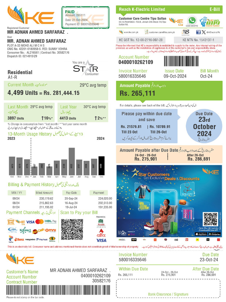 October 2024 Electricity Bill Summary | PDF | Fee | Taxes
