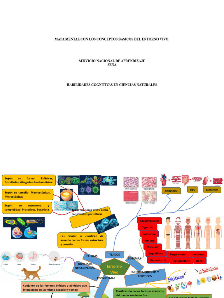 Mapa Mental del Entorno Vivo | PDF | Ecosistema | Entorno natural