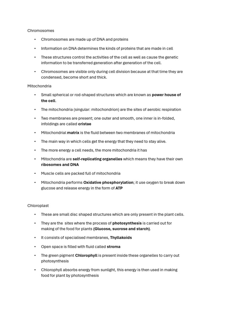 Cell Structures and Functions Explained | PDF | Endoplasmic Reticulum ...