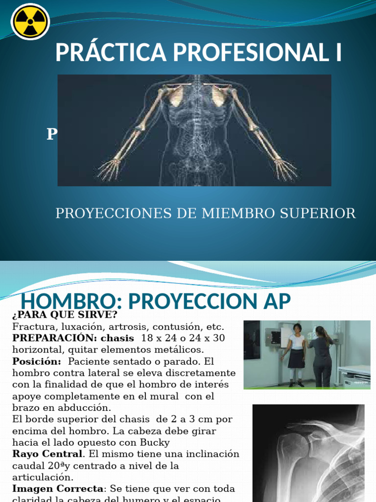 Cintura Escapular y Miembro Superior | PDF | Mano | Hombro