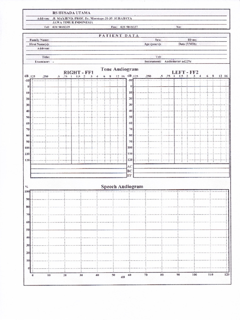 Report Audiometer | PDF