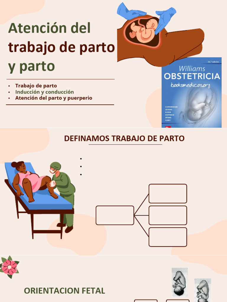 Atención Integral en el Trabajo de Parto | PDF | Parto | Reproducción ...