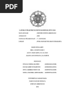 Download Laporan Survei Arkeologi Komplek Situs Mangkunegaran 2011 by Danar Ariep Yudhoyono SN79008537 doc pdf