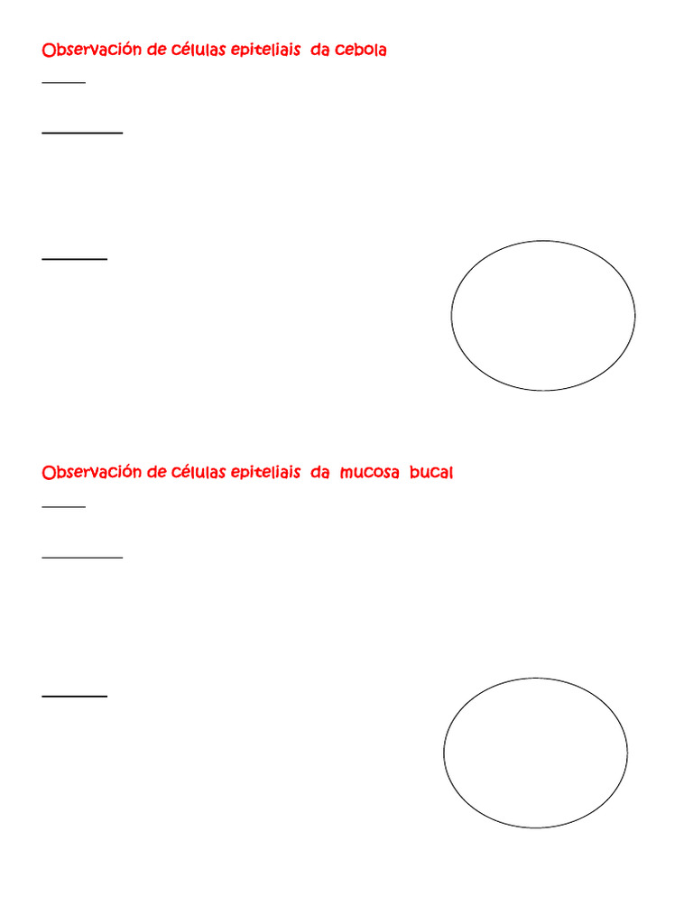 ficha-pr-ctica-de-laboratorio-para-imprimir-pdf