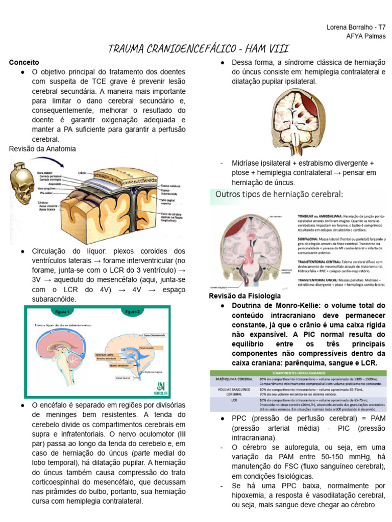 Tratamento e Classificação do TCE | PDF | Líquido cefalorraquidiano ...