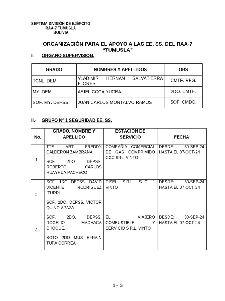 Organizacion Ee. Ss. | PDF