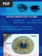 IRIDOLOGIA AVALON 2010