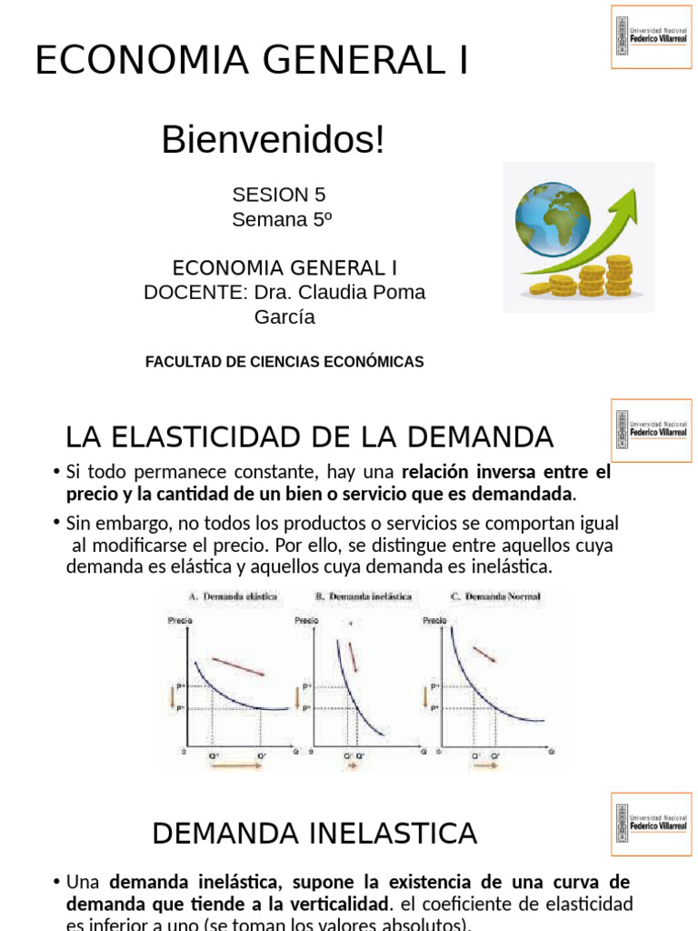 Elasticidad de la Demanda y Oferta | PDF | Elasticidad (economía ...