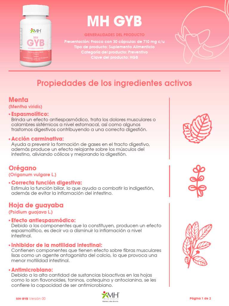 Propiedades del Suplemento MH GYB | PDF | Tracto gastrointestinal ...