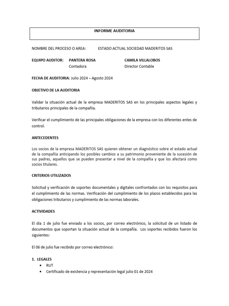 Informe de Auditoria Sociedad | PDF | Impuestos | Contabilidad