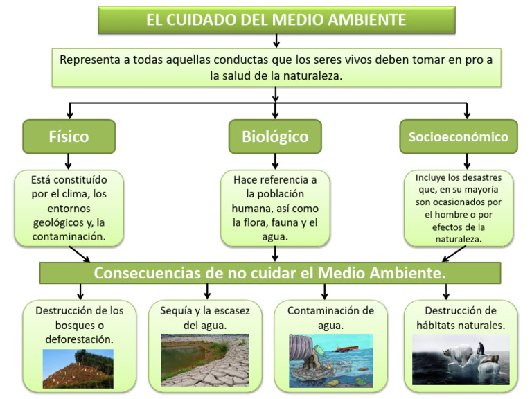 Cuidado del Medio Ambiente y Salud | PDF