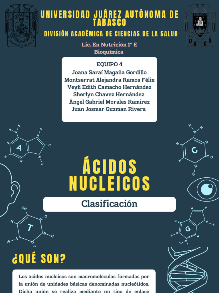 Acidos Nucleicos | PDF | Rna | Adn
