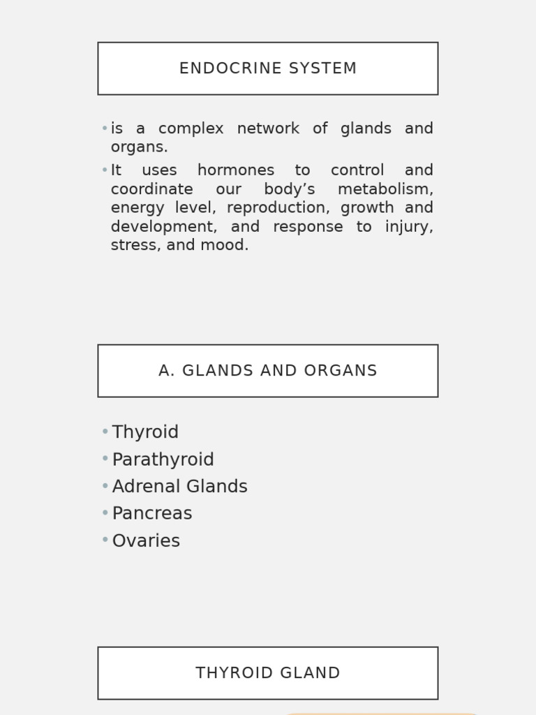 Overview of the Endocrine System | PDF | Adrenal Gland | Thyroid