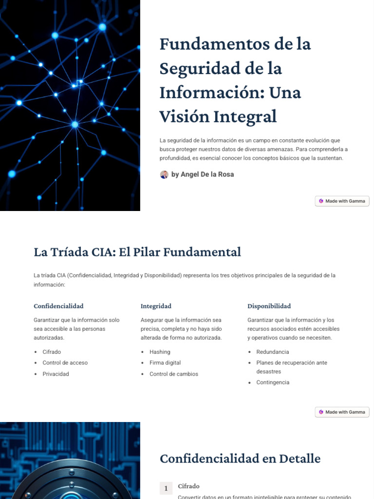 Fundamentos de La Seguridad de La Informacion Una Vision Integral | PDF ...