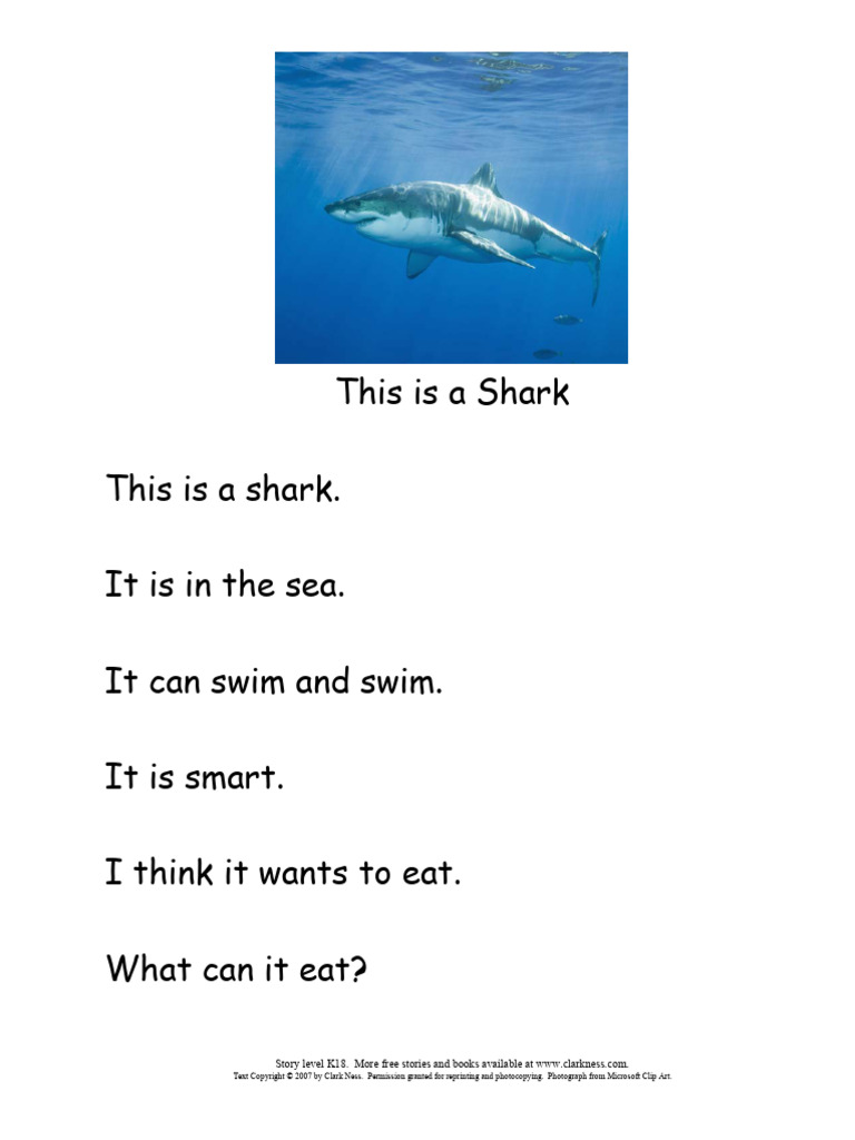 This Is A Shark | PDF