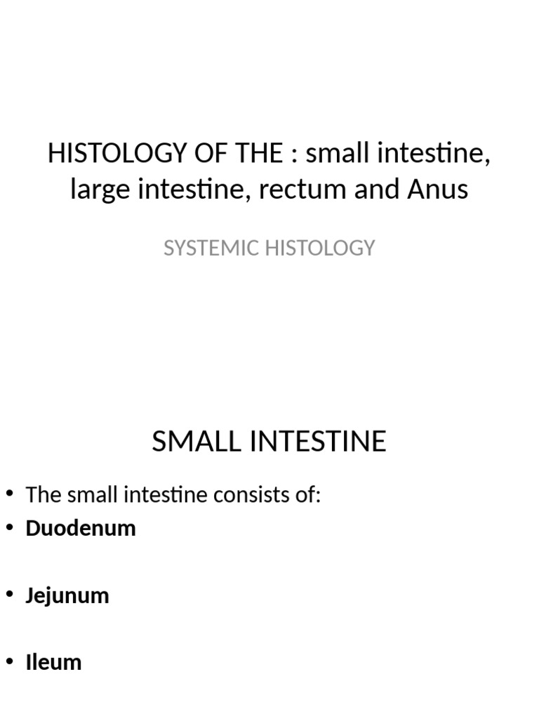 Small Intestine Histology Overview | PDF | Small Intestine ...