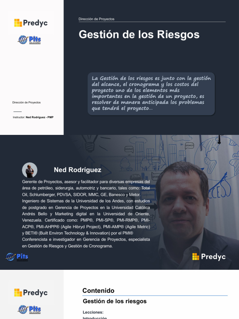 Gestión de Riesgos en Proyectos PMP | PDF | Riesgo | La seguridad ...