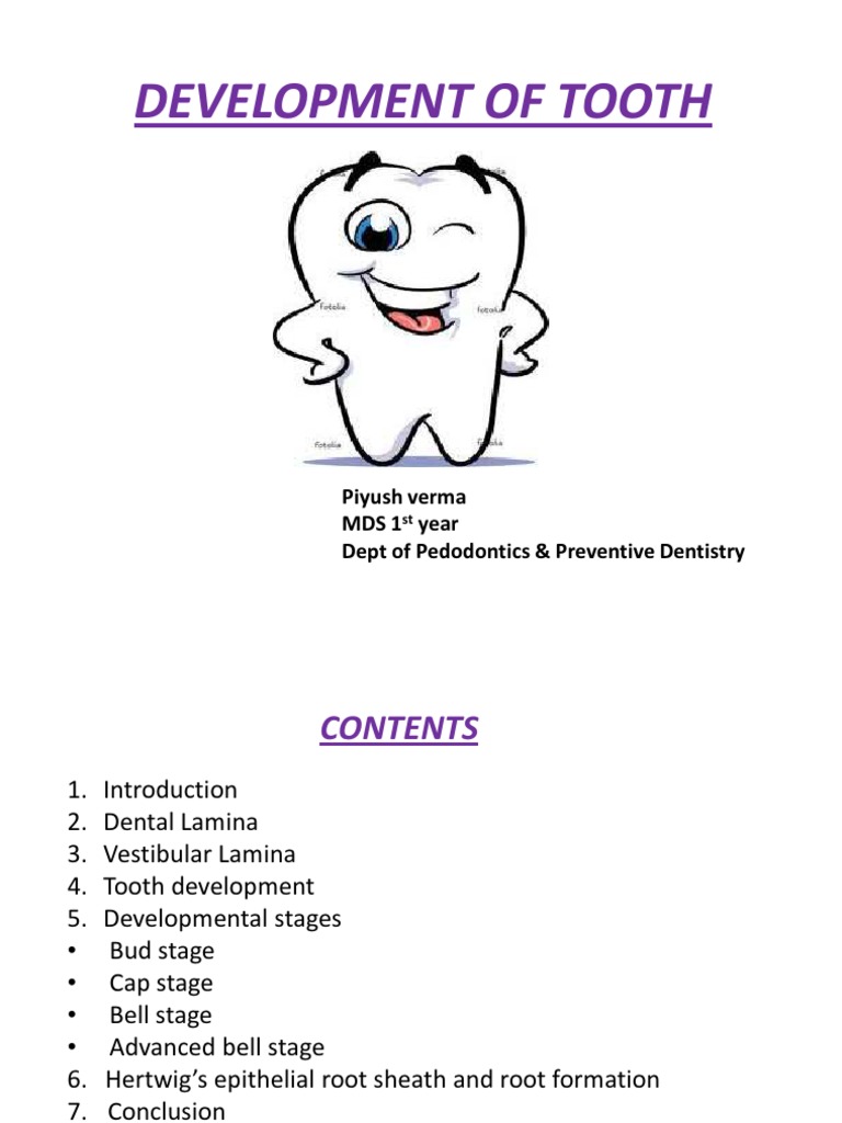 Complex Document Encoding Explained | PDF | Human Tooth | Tooth Enamel