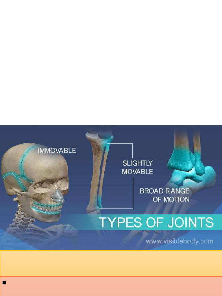 Joints | PDF | Joint | Cartilage