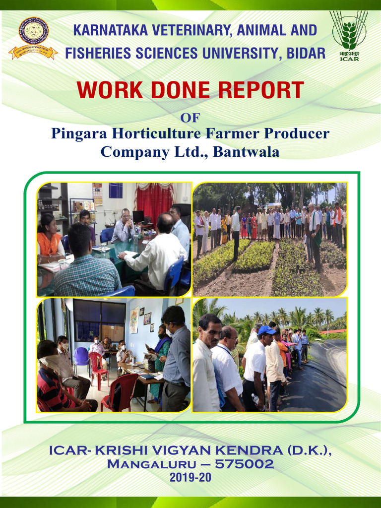 Pingara FPO: Horticulture Innovations | PDF | Agriculture