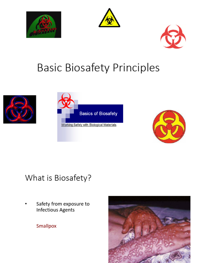 Essential Biosafety Principles Guide | PDF | Infection | Personal ...