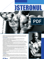 Articol Proliferomania.ro - Testosteronul