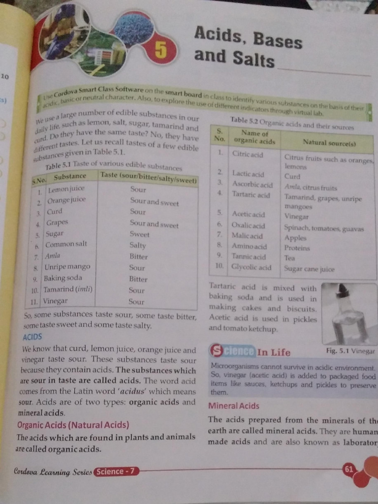 Acid Bases and Salts Extra Knowledge Class 7 | PDF