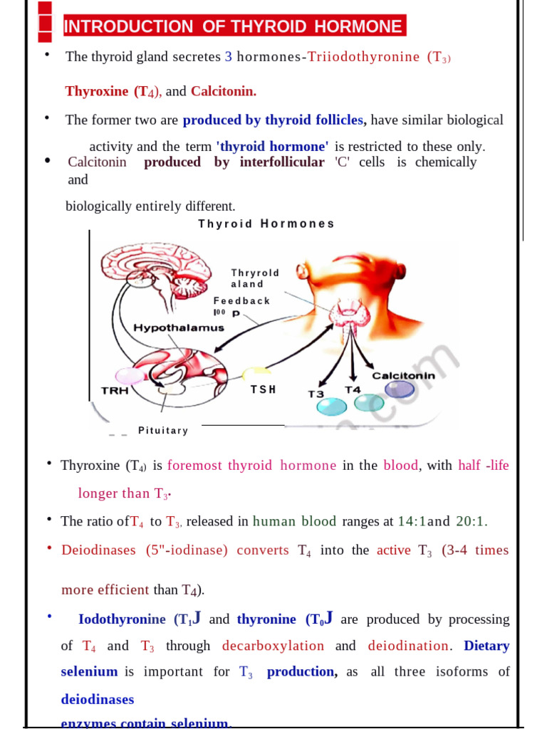 (DRAFT) Thyroid Analogue and Inhibitor Draft | PDF | Thyroid | Thyroid ...