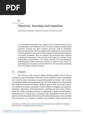 Spider Plasticity, Learning and Cognition