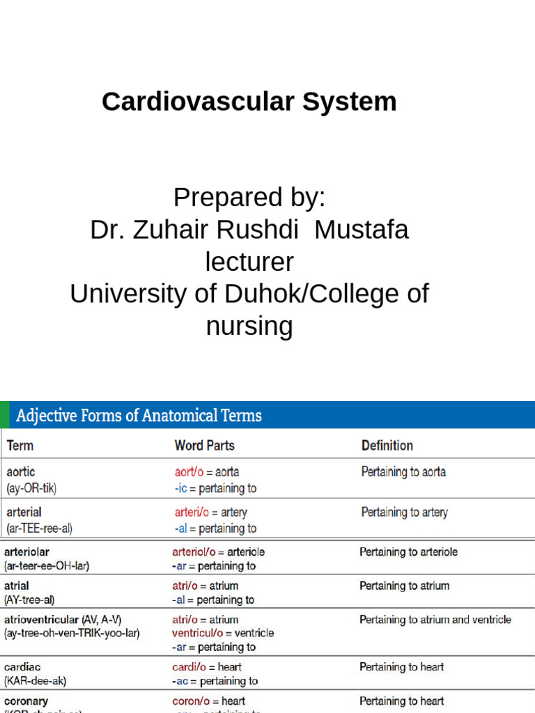 Cardiovascular System Terminology Guide | PDF | Heart | Ventricle (Heart)