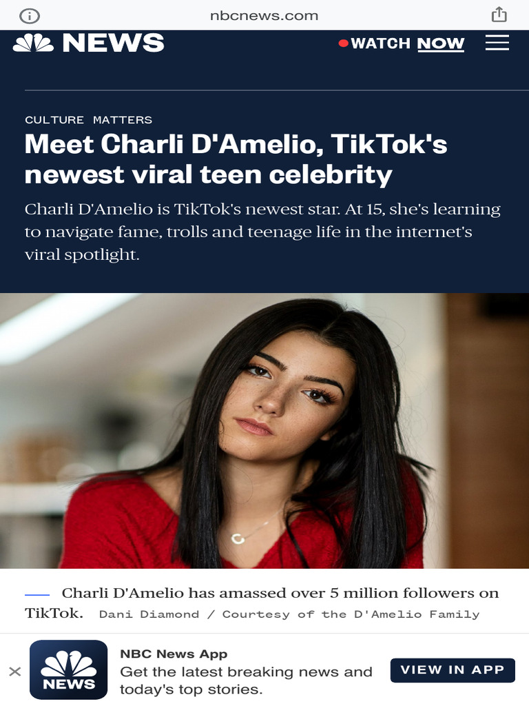 Charli D'Amelio TikTok's Viral Teen Star PDF