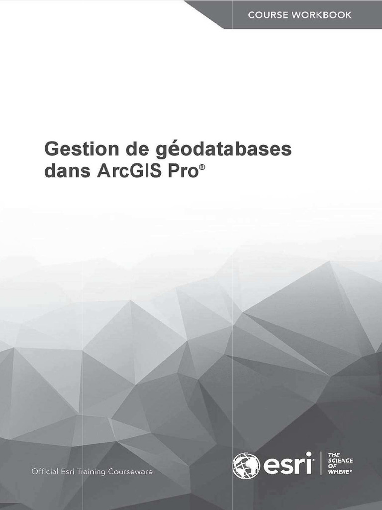 Gestion de Géodatabases | PDF